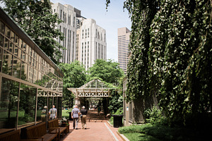 Walk in the Park