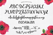 Berrylicious Hand-lettered Script, a Script Font by Emily Spadoni (Thumbnail 5 of 5)