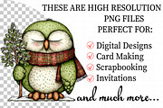 Whimsical Christmas Owl Clipart Bund, an Illustration by Daily.Designs (Thumbnail 2 of 5)
