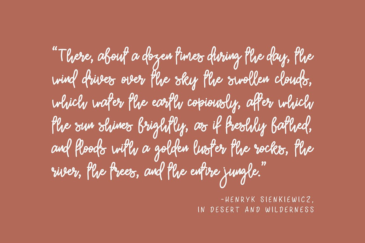Burston Handwritten Script preview 6