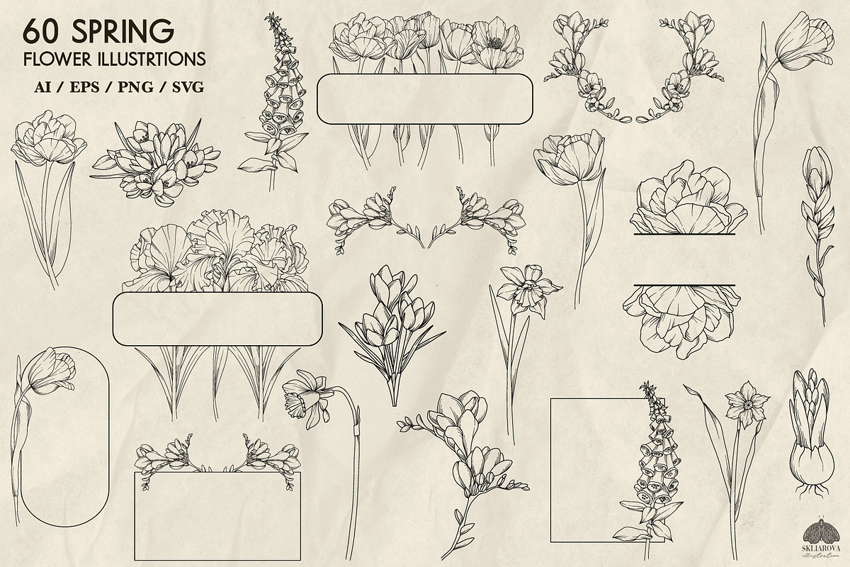 Spring flowers line art + Procreate, a Decorative Illustration by Skliarova (Photo 3 of 4)