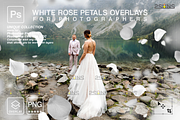 White Rose Petals photo overlays, an Object Graphic by 2SUNS (Thumbnail 1 of 9)
