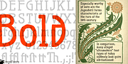 Maier's Nr. 21 Pro, a Handwritten Font by ingoFonts (Thumbnail 6 of 10)