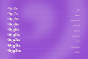 Dorris - Swirly Summer font family, a Slab Serif Font by creativemedialab (Thumbnail 11 of 18)