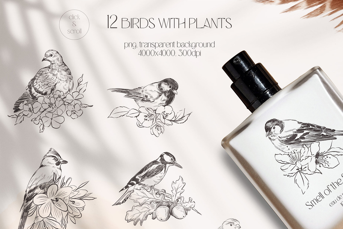 Charming forest - BUNDLE 4 in 1, a Decorative Illustration by Yuliia Lashevska (Photo 5 of 26)