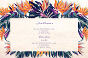 Monstera and Strelitzia watercolor, an Illustration by Salted Galaxy (Thumbnail 6 of 15)