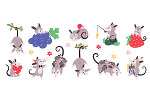 Cute possum. Funny animal characters, an Animal Illustration by YummyBuum