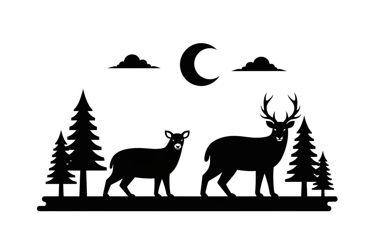 Dark Halloween Forest Design, a Graphic by BIPLOB EXPERT (Photo 10 of 12)