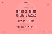 Flamingo Display Font, a Sans Serif Font by bryrude (Thumbnail 4 of 4)