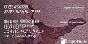 Amhara, a Sans Serif Font by ingoFonts (Thumbnail 9 of 10)