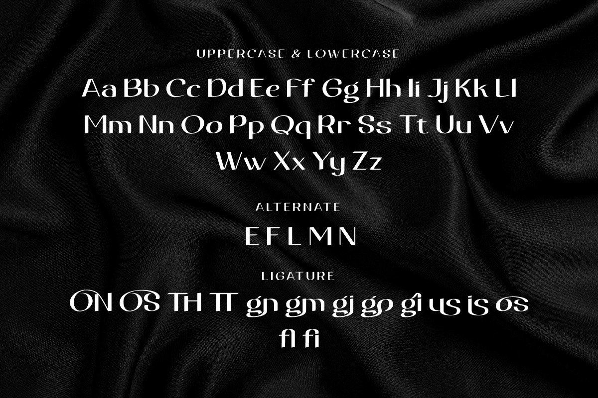 Egovu - Display Font, a Sans Serif Font by twinstd (Photo 9 of 10)