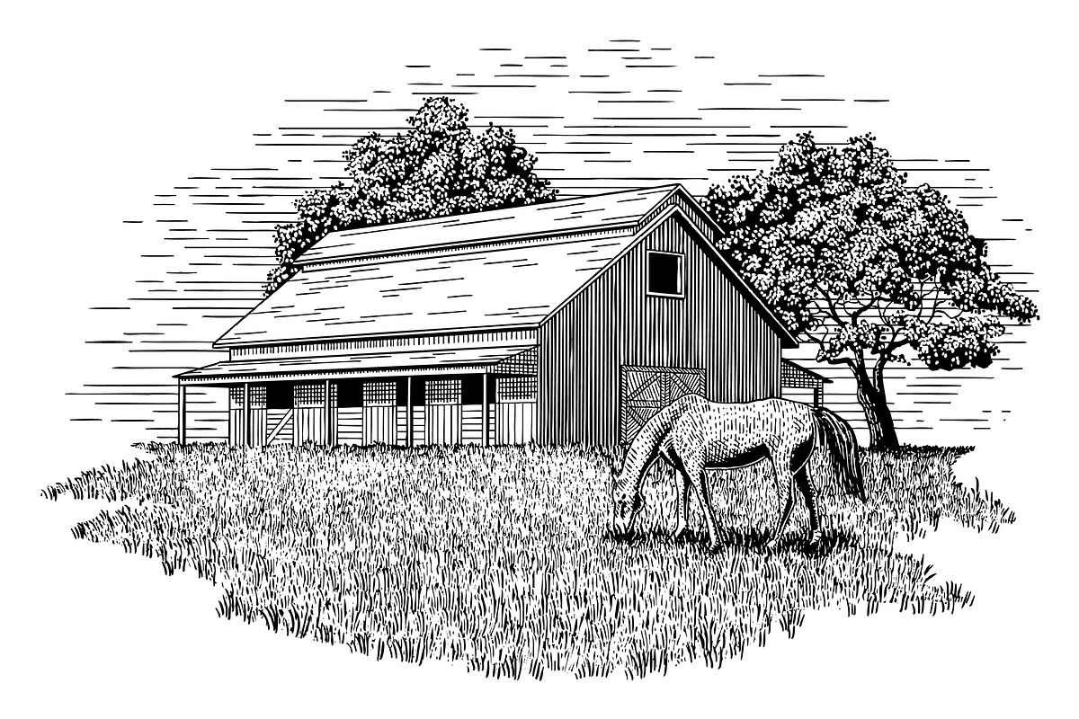 Horse Stable Illustration, an Animal Illustration by blue67sign