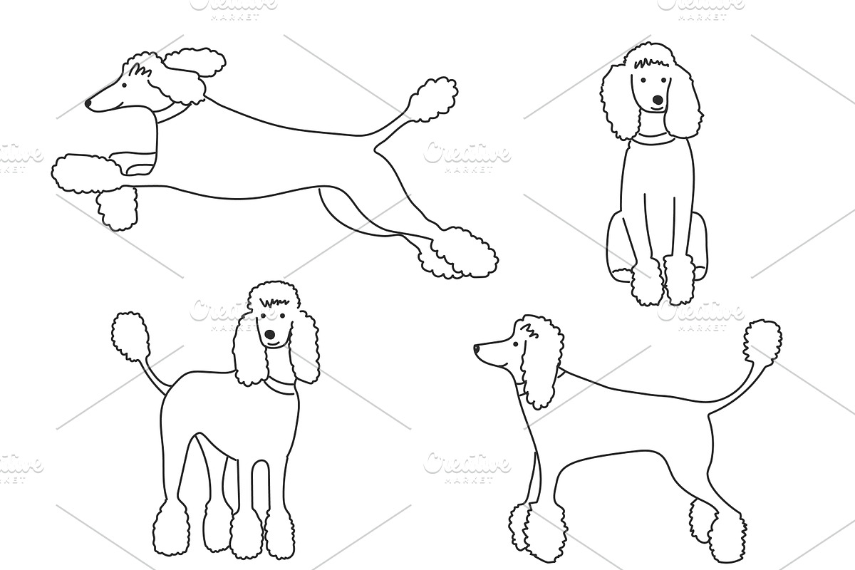 Cute doodle dogs (big collection), an Animal Illustration by Liz Pengilley Studio (Photo 18 of 23)