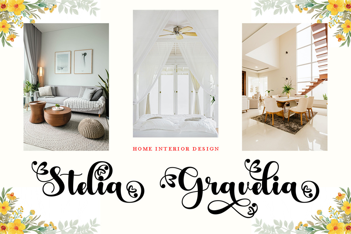 Ardilas, a Script Font by TM Type (Photo 4 of 10)