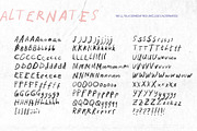 We'll Talk Someday Messy Handwritten, a Handwritten Font by Perplexitics (Thumbnail 3 of 13)