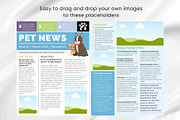 Canva Newsletter Template Pet Care, an Email Template by PixelCraft (Thumbnail 10 of 15)