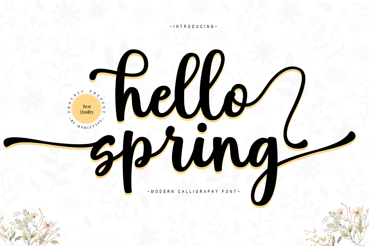 Hello Spring Script Font, a Script Font by moriztype (Photo 1 of 10)