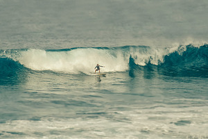 Big Wave Surfer