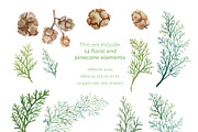 Winter greenery floral clipart, a Decorative Illustration by My Wondercolor (Thumbnail 3 of 6)