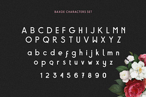 Baxoe Elegant And Fancy Typeface