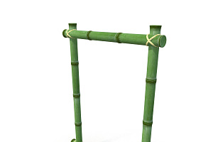 Bamboo Frame