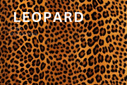 Safari Animals Skin Print Texture, a Graphic by UniqueMe (Thumbnail 4 of 21)