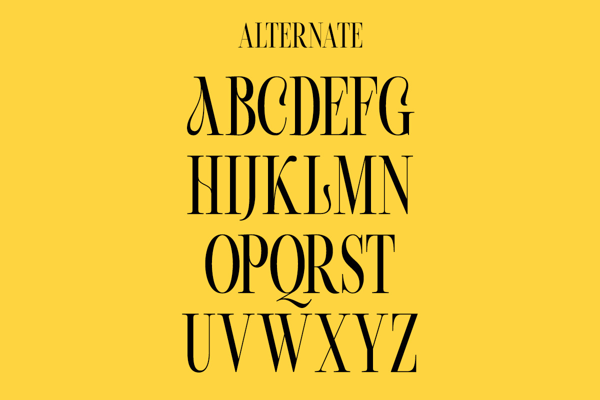 Beachwalk | Elegant Retro Serif, a Serif Font by Muntab_Art (Photo 10 of 13)