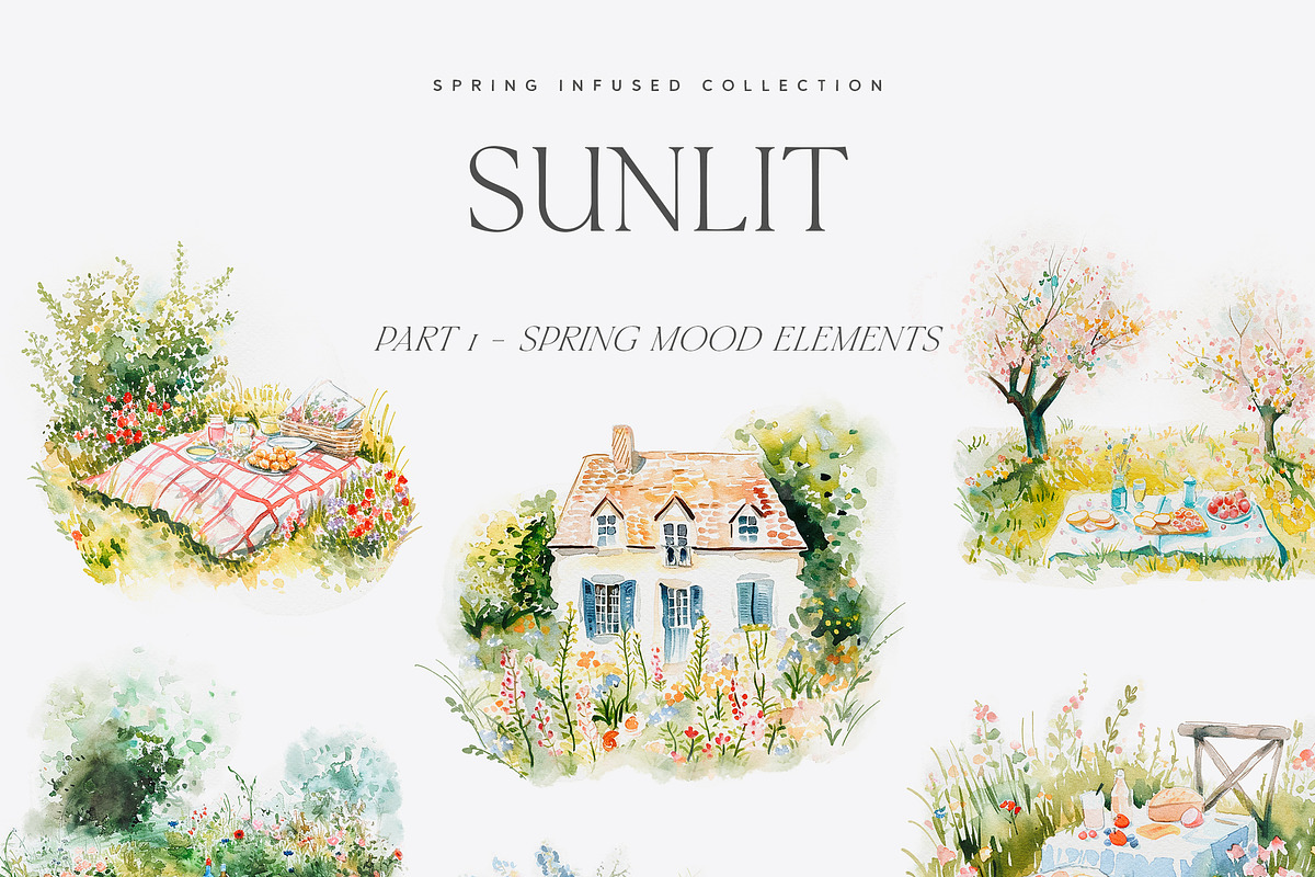 Sunlit - Spring Library, a Seasonal Illustration by Isabelle Salem (Photo 6 of 13)