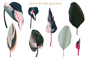 Pink tropical frames and patterns, an Illustration by marie dricot (Thumbnail 12 of 15)