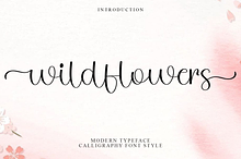 Wildflowers
