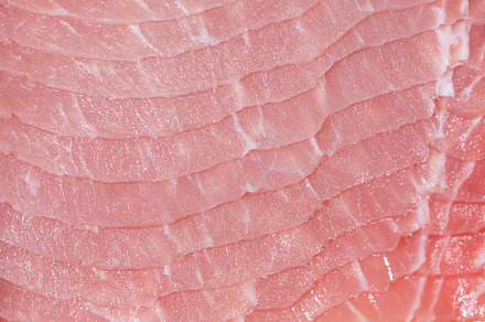 Closeup fresh pork slices