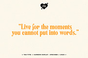TAN - Harmoni, a Serif Font by TanType (Thumbnail 2 of 19)