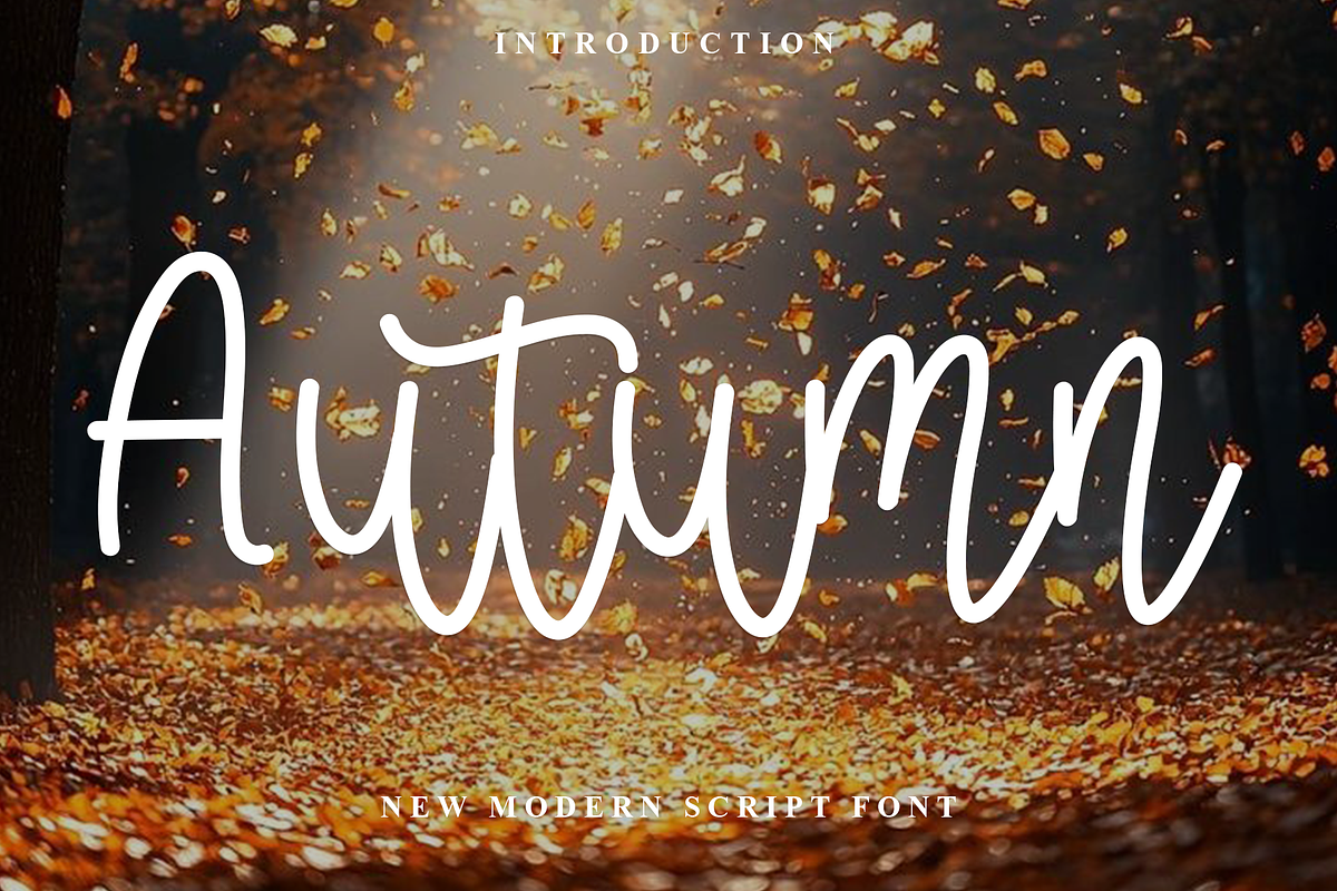 Autumn, a Handwritten Font by InermediaSTUDIO (Photo 1 of 7)