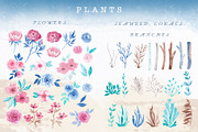 Garden under the sea, a Graphic by Kuzya's shop (Thumbnail 6 of 14)