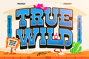 Truewild, a Slab Serif Font by Artisan Themes (Thumbnail 1 of 11)