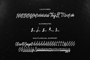 Lubang Hitam - Handbrush Script, a Script Font by Typefactoryco (Thumbnail 3 of 8)