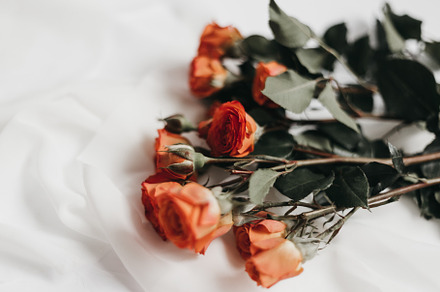 Tangerine Rose Styled Stock 060