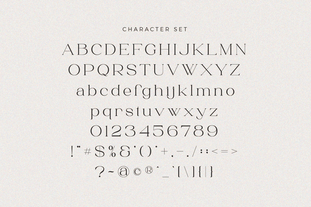Larisa - Stylish Serif Font, a Serif Font by Aqeel_Art (Photo 8 of 9)