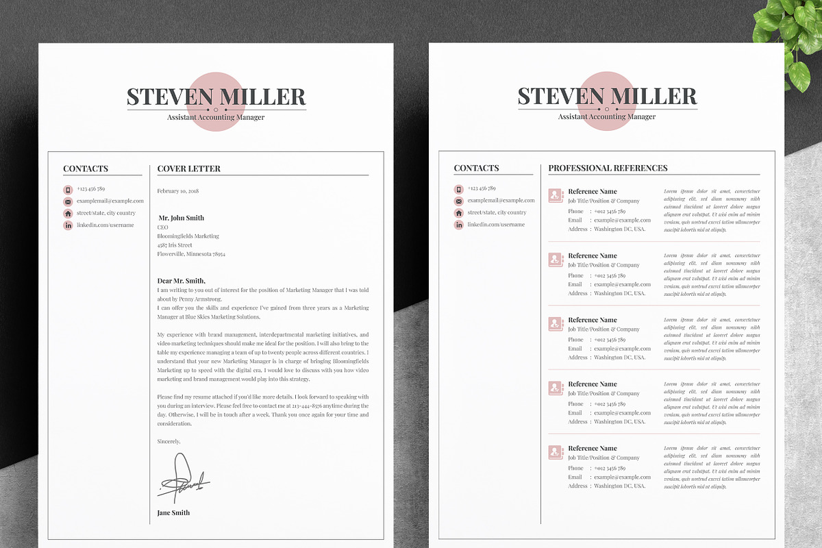 JOB WINNING RESUME - 50 TEMPLATES, a Resume Template by ResumeInventor (Photo 39 of 184)