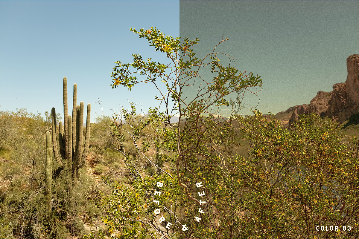 Dorado Lightroom Presets, a Brushes & More by Cactus Country (Photo 5 of 12)