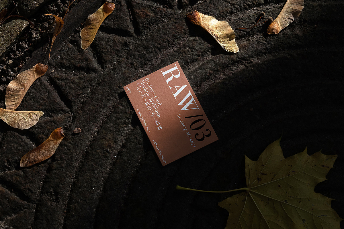 Raw Branding Mockups / Batch 00003, an Advertising Mockup by Mockup Cloud (Photo 25 of 27)