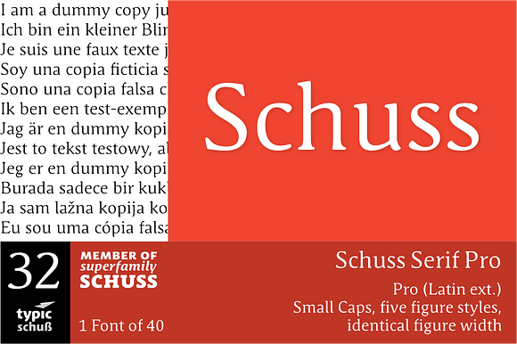 SchussSerifPro No.32 (1 Font) preview 7