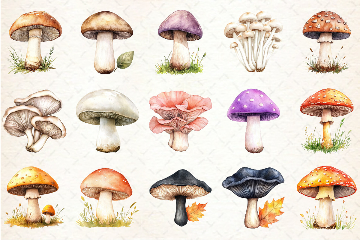 Watercolor Edible Mushroom Clipart, an Illustration by Rose Art (Photo 2 of 4)