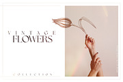 Vintage Flowers Collection, an Illustration by TL Design (Thumbnail 3 of 8)