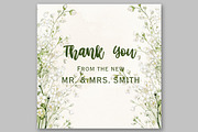 Gypsophilia White Flowers Clipart, a Decorative Illustration by LeCoqDesign (Thumbnail 2 of 5)