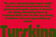 Turskina, a Sans Serif Font by Bagerich Type Foundry (Thumbnail 11 of 11)
