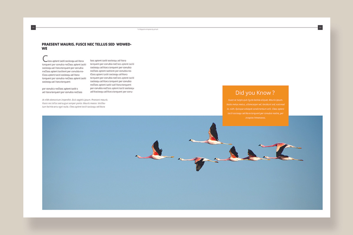 Magazine Template 06, a Magazine Template by pmvch (Photo 12 of 12)