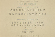 Alison Handwritten Font Duo, a Script Font by Artcoast Fonts (Thumbnail 10 of 17)