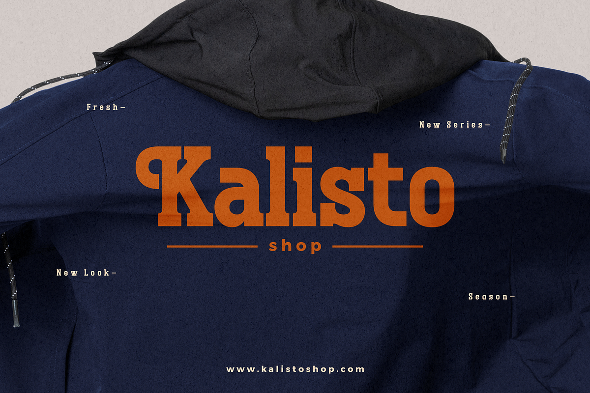 Megolan New Display Sans Serif Font, a Sans Serif Font by Storytype Studio (Photo 5 of 15)