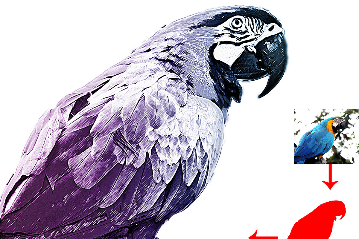 Realistic Line Drawing Ps Action, an Action Add-On by Studio Retouch